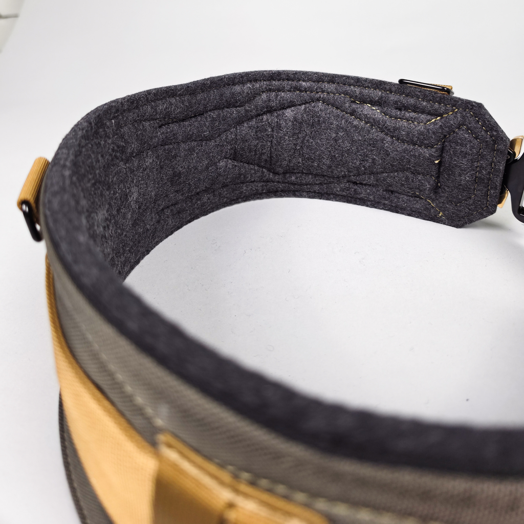 T2 Curved Belt